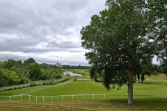 23_Lion-Angers-Brigitte_P