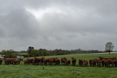 01_Loroux-Bott-Brigitte_P