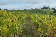 02_Loroux-Bottereau-Muriel