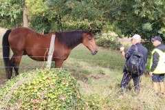 06_Loroux-Bottereau-Muriel