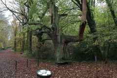 06_Orvault-Brigitte_P