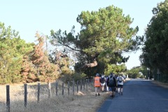IMG-20260724-WA0000