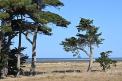 IMG-20260724-WA0003
