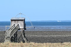 IMG-20260724-WA0004
