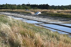 IMG-20260724-WA0012