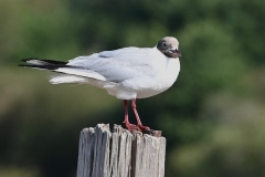 IMG-20260724-WA0014