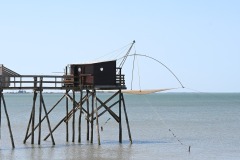 IMG-20260724-WA0029