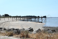IMG-20260724-WA0030