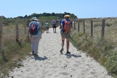 IMG-20260724-WA0034