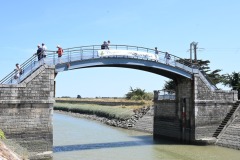 IMG-20260724-WA0043