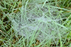 05_Les_Touches-Muriel_F