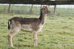 06_Les_Touches-Muriel_F