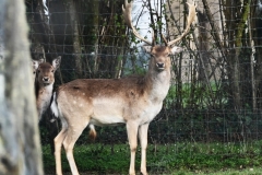 07_Les_Touches-Muriel_F