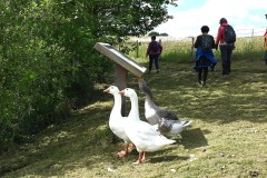 08_Lac_Ribou-MurielF