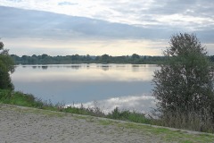 04_Mauves_Muriel_F