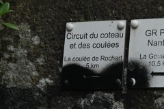 08_Mauves_Muriel_F