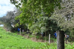 13_Mauves_Muriel_F