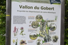 01_Mauves-sur-Loire-Muriel