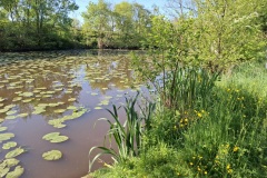 05_Mauves-sur-Loire-Brigitte