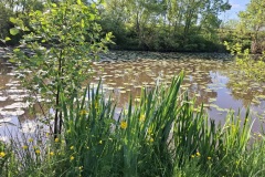 06_Mauves-sur-Loire-Brigitte