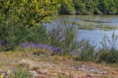 16_Moisdon-Soungalo
