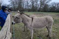 01_Nort_MD_Nouvel_An-Brigitte_P