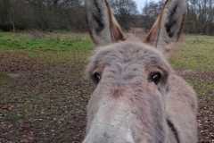 02_Nort_MD_Nouvel_An-Brigitte_P