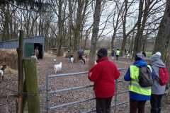 06_Nort_MD_Nouvel_An-Brigitte_P