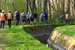 02_Nort_Arcades-MurielF