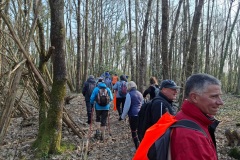 03_Nort_Arcades-BrigitteP