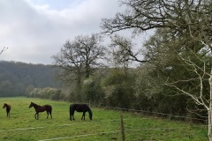 05_Nort_Arcades-BrigitteP