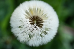 05_Nort_Arcades-MurielF