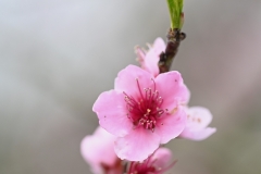 12_Nort_Arcades-MurielF