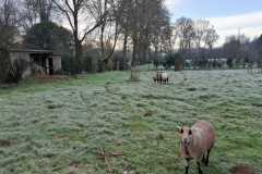 14_Nort_rando_Noel-Brigitte_P