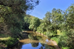 03_Oudon-Nathalie_C