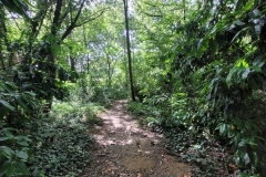 11_Oudon-Nathalie_C