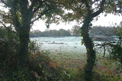 07_Petit-Mars-Muriel_F