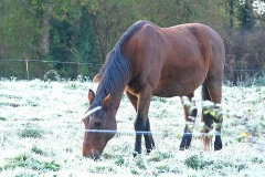 08_Petit-Mars-Muriel_F