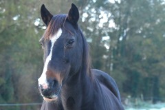 09_Petit-Mars-Muriel_F