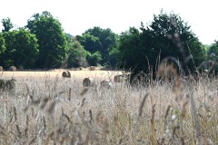 02_Petit-Mars-Muriel_F