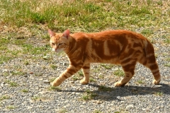 11_Petit-Mars-Muriel_F