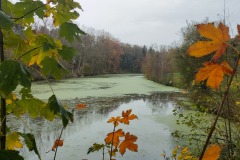 02_St-Aubin-Muriel_F