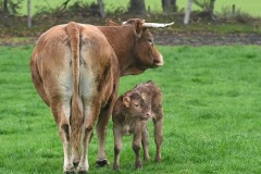 06_St-Aubin-Muriel_F