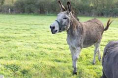 06_St-Aubin-Soungalo