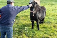 07_St-Aubin-Soungalo