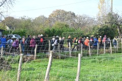 13_St-Aubin-Muriel_F