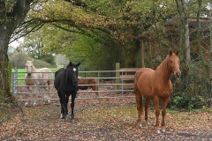 14_St-Aubin-Muriel_F