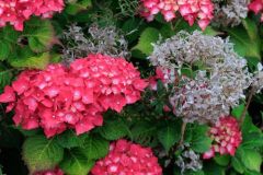 06_Fouesnant-Soungalo