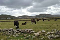 06_Vauville_R-Brigitte_P