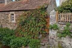 13_Vauville-Brigitte_P